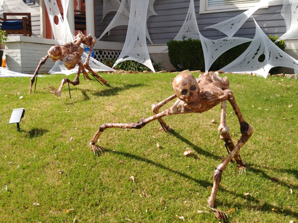 Two plastic skeletons with elongated arms and legs, posed on all fours, are displayed on a fresh mowed lawn in front of a large blue house.